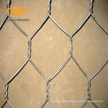 Fence hexagonale de poulet Coop pour le plâtrage